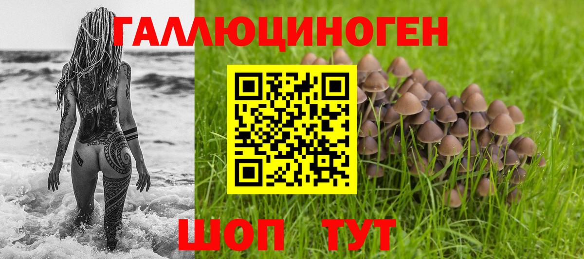 Орехово-Зуево  Галлюциногенные грибы MAGIC MUSHROOMS  Вход с VPN 